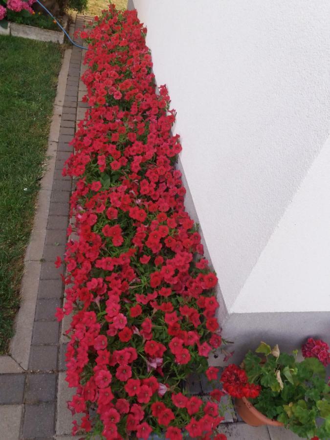 מלון Međugorje Pansion Ljubica מראה חיצוני תמונה
